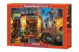 puzzle-3000-nasze-specjalne-miejsce-w-wenecji-c-300426-2