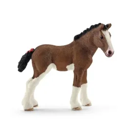 zrebie-rasy-clydesdale-slh13810
