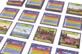 gra-brainbox-dinozaury-maksymalna-liczba-graczy-wiecej-niz-6