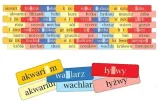 gra-mistrz-ortografii-wiek-dziecka-5-lat