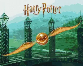 malowanie-po-numerach-harry-potter-zloty-znicz