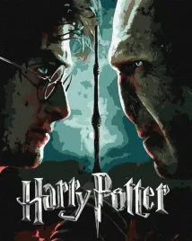 malowanie-po-numerach-harry-i-voldemort-metal