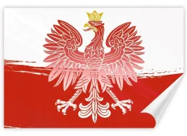naklejka-grafika-na-samochod-auto-flaga-polski-polska-orzel-godlo-13x85