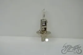 zarowka-awina-12v-55w-h1