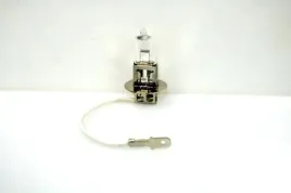 zarowka-awina-12v-55w-h3