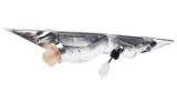 kierunkowskaz-przod-lewy-do-piaggio-zip-numer-katalogowy-czesci-pzip2462