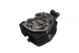 glowica-cylindra-125cc-4t-do-shineray-xy125-10d-gola