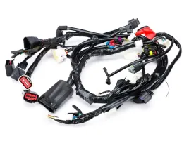 instalacja-wiazka-elektryczna-z-one-s-17