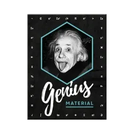 magnes-na-lodowke-6x8cm-einstein-genius-material-14404