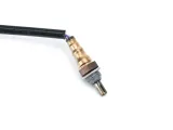 sonda-lambda-do-zipp-vanilla-110-2023r-stan-nowy