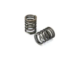 sprezyny-zaworowe-do-zipp-vanilla-110-2023r