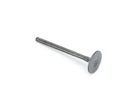 zawor-ssacy-do-zipp-vanilla-110-2023r
