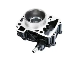 cylinder-tlok-bajaj-pulsar-ns-200-komplet