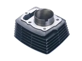 cylinder-5600mm-4t-125cc-do-zipp-scrambler-125