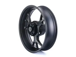 kolo-tylne-4-50-17-do-zipp-pro-xt-euro-4-45x17