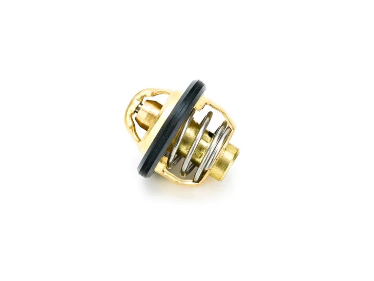 termostat-do-um-classic-300-numer-katalogowy-czesci-02-b13030004