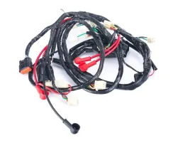instalacja-wiazka-elektryczna-do-zipp-veracruz-50