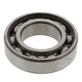 lozysko-skf-6005