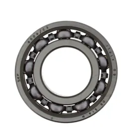 lozysko-skf-6004-c3