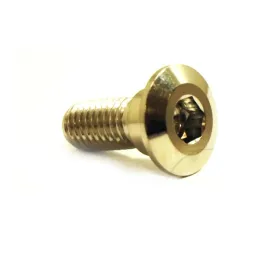 sruba-jmp-do-tarcz-hamulcowych-m8x20-mm-gwint-125-ze-stali-nierdzewnej-1
