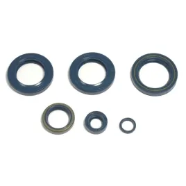 komplet-uszczelniaczy-silnikowych-athena-do-ktm-egs-400-lc4-egs-e-400-lc4