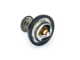 termostat-do-romet-motors-adv-530