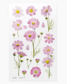 naklejki-ozdobne-kwiaty-kosmos-aster