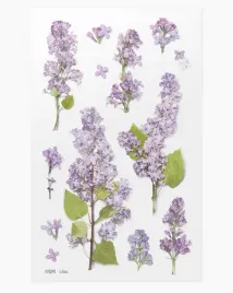 naklejki-ozdobne-kwiaty-bez-lilak