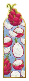 zakladka-magnetyczna-owoce-pitaya