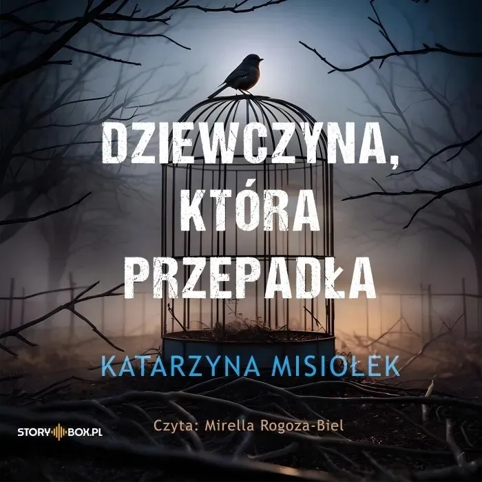 cd-mp3-dziewczyna-ktora-przepadla