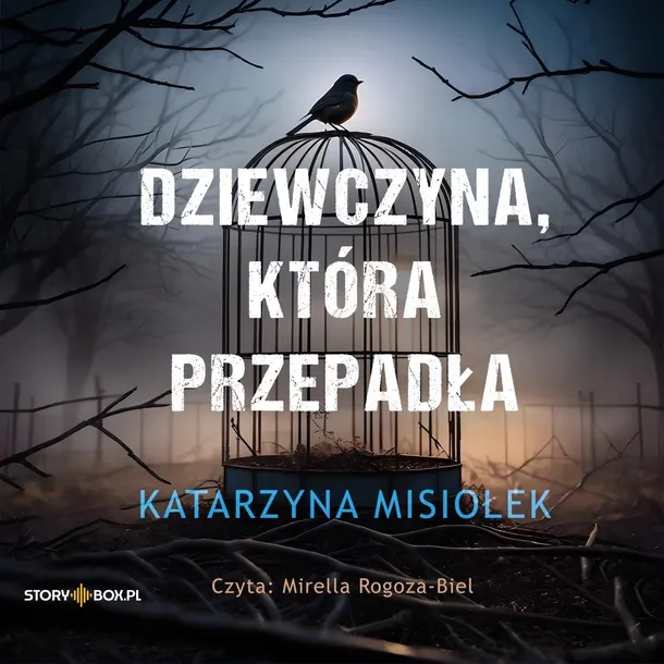 cd-mp3-dziewczyna-ktora-przepadla-stan-nowy