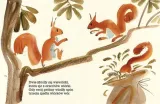 ortografia-w-wierszykach-o-wysokosc-produktu-22-cm