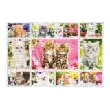 puzzle-100-kocieta-105567-kod-producenta-4001504561352