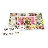 puzzle-100-kocieta-105567-marka-schmidt-spiele