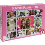 puzzle-100-kocieta-105567-liczba-elementow-100