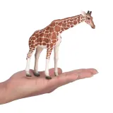 figurka-zyrafa-samica-xl-plec-chlopcy-dziewczynki