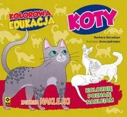 kolorowa-edukacja-koty