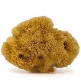 gabka-do-masazu-i-peelingu-naturalna-morska-rozmiar-m-10-12-cm