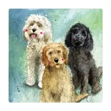 magnes-fm229-psy-cockapoo-stan-nowy
