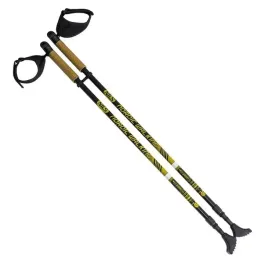 kije-nordic-walking-nils-nw603