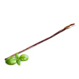 penis-wolowy-gryzak-przysmak-naturalny-suszony-dla-psa-petmex-50cm-1szt