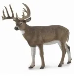 white-tailed-deer