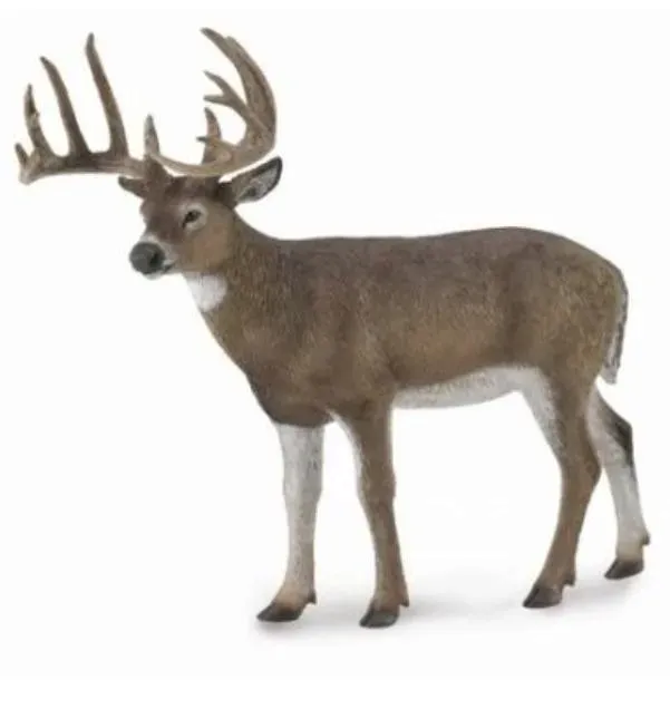 white-tailed-deer