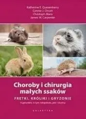 choroby-i-chirurgia-malych-ssakow