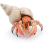 krab-pustelnik