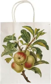 torebka-ozdobna-a5-stbag126-jablon