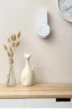 uchwyt-scienny-amazonbasics-do-echo-dot-3-model-uchwyt