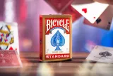 karty-standard-rider-back-bicycle-liczba-talii-1