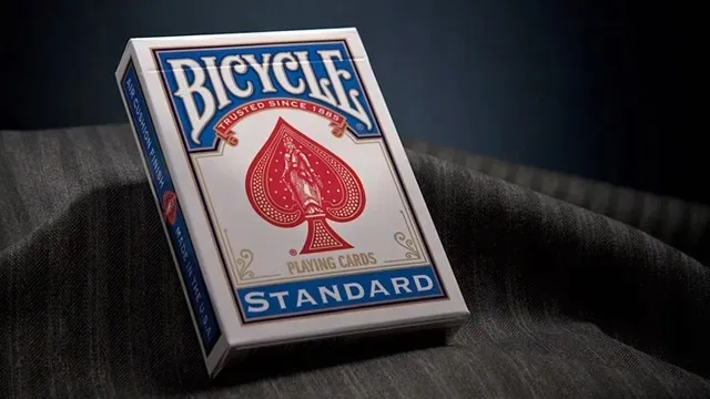 karty-standard-rider-back-bicycle-stan-nowy-nazwa-bicycle-rider-back-standard