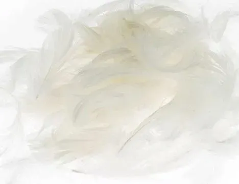 piora-biale-5-12cm-7g